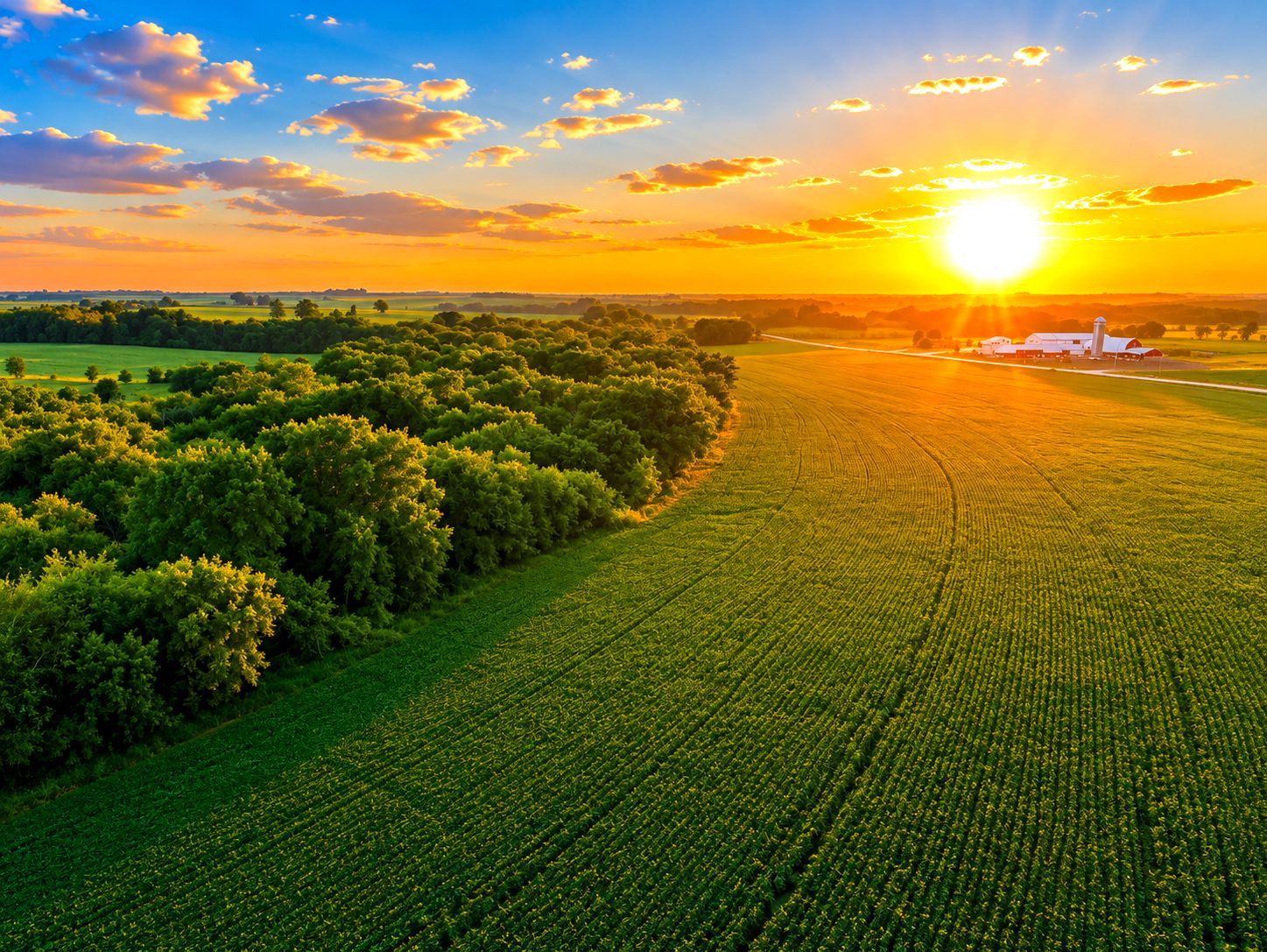Listing Photo: Alpha-Iowa-Farm-For-Sale